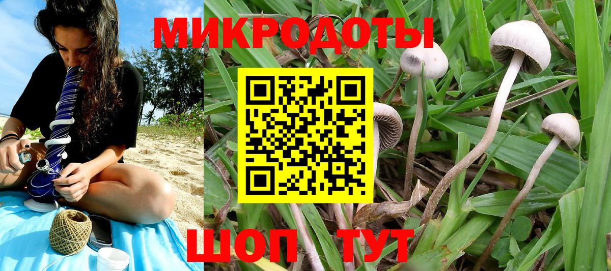 Псилоцибиновые грибы мицелий  Вход с VPN  Лесозаводск 